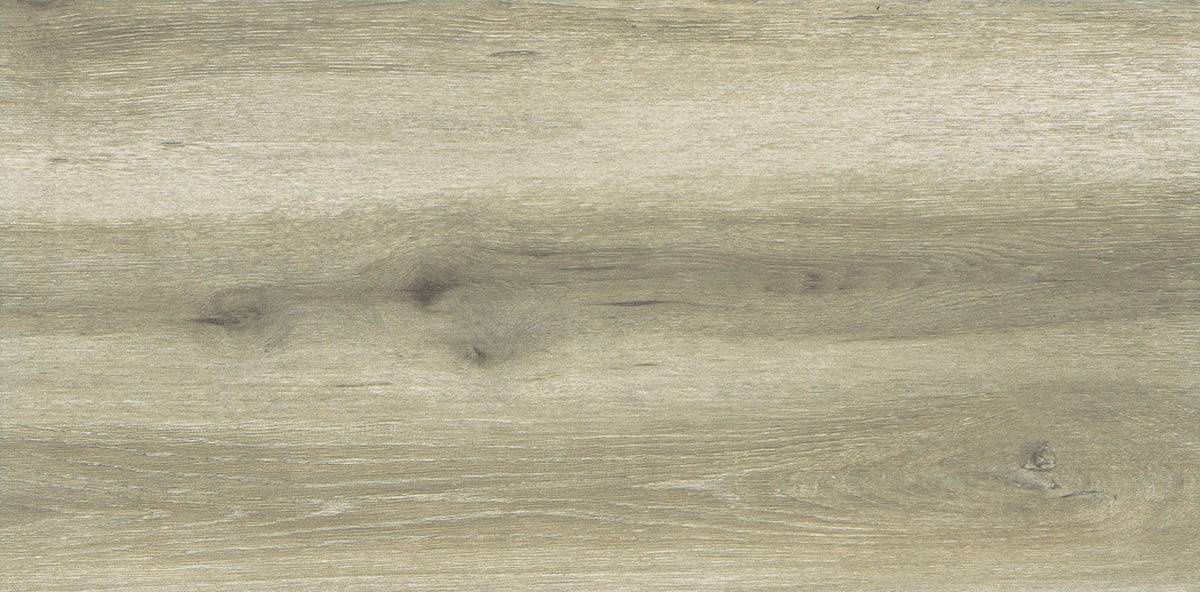 Forest Birch 30x60 - Image 2