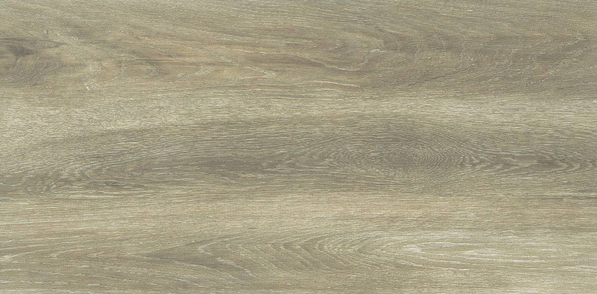 Forest Birch 30x60 - Image 5