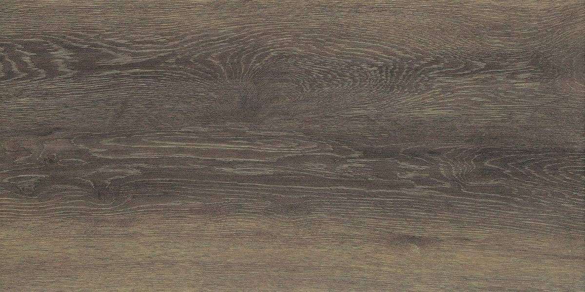 Forest Nut 30x60 - Image 3