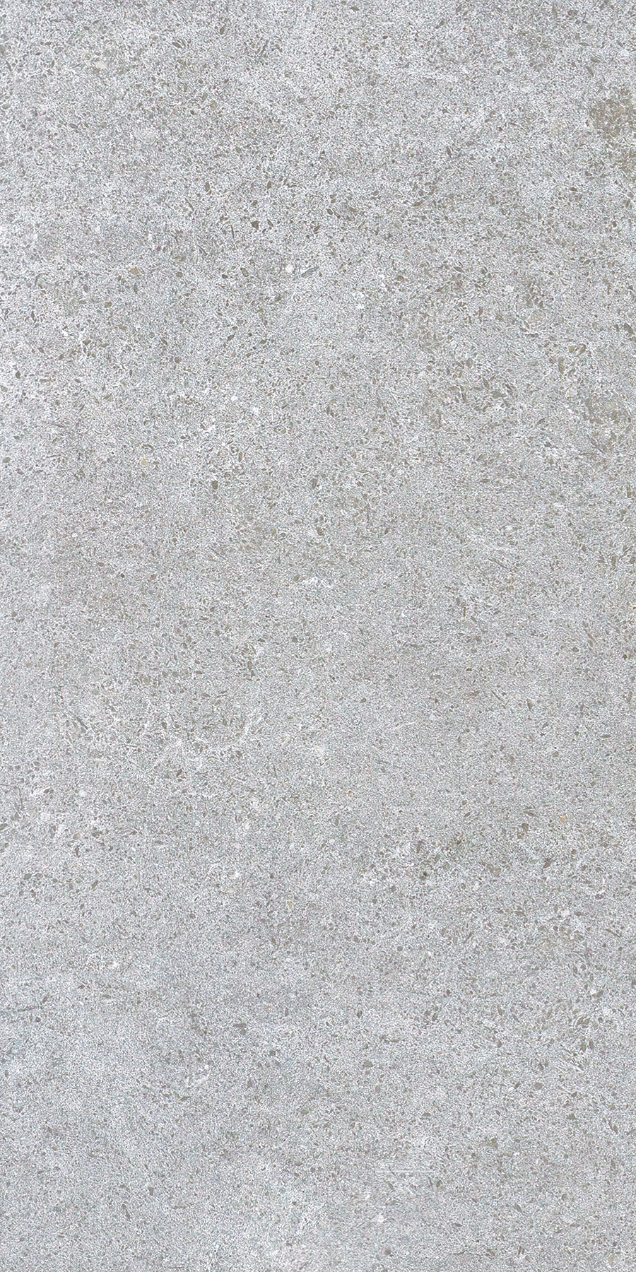 Cortina Grigio 30x60 (R11/B) - Image 2