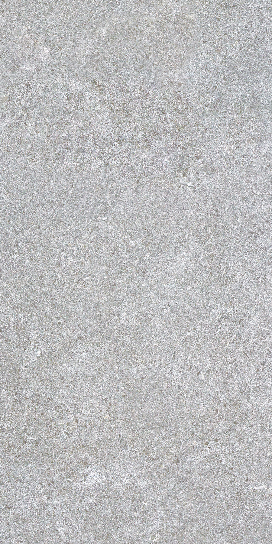 Cortina Grigio 30x60 (R11/B) - Image 3