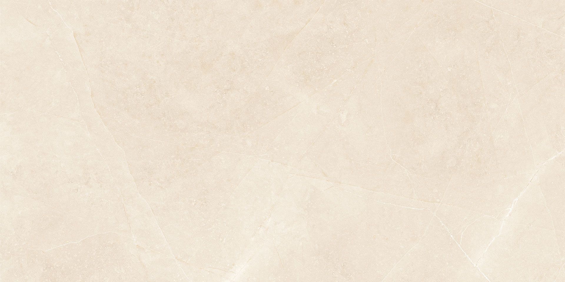 Elegant Beige 30x60 - Image 2