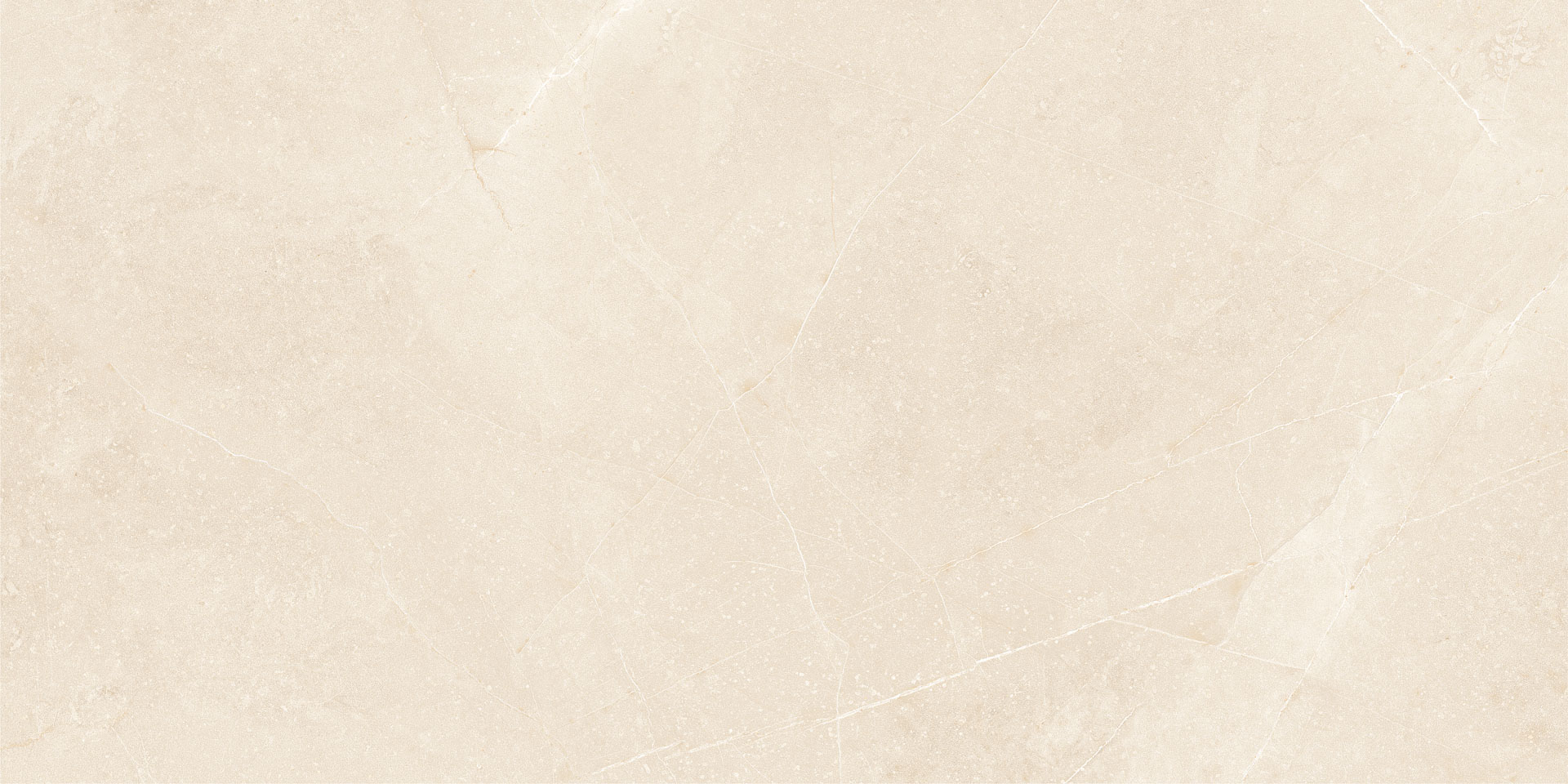 Elegant Beige 30x60 - Image 3