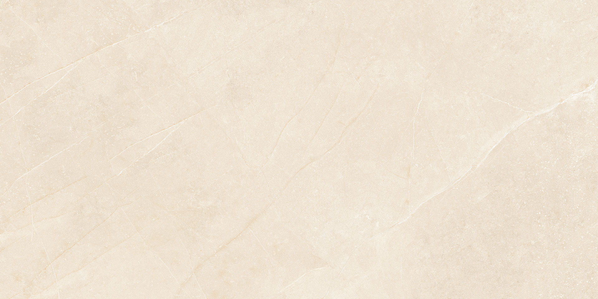 Elegant Beige 30x60 - Image 4