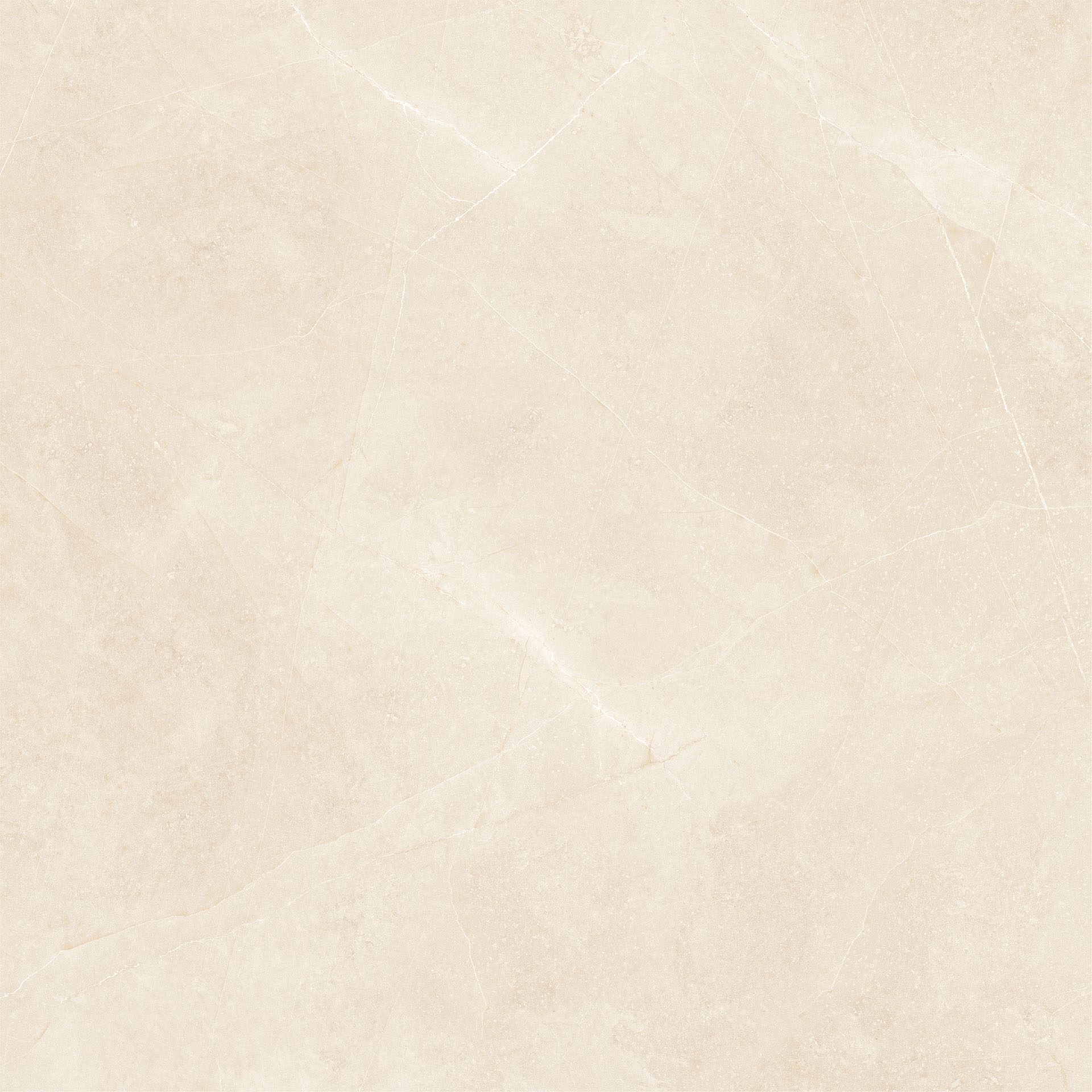Elegant Beige 60x60 - Image 2