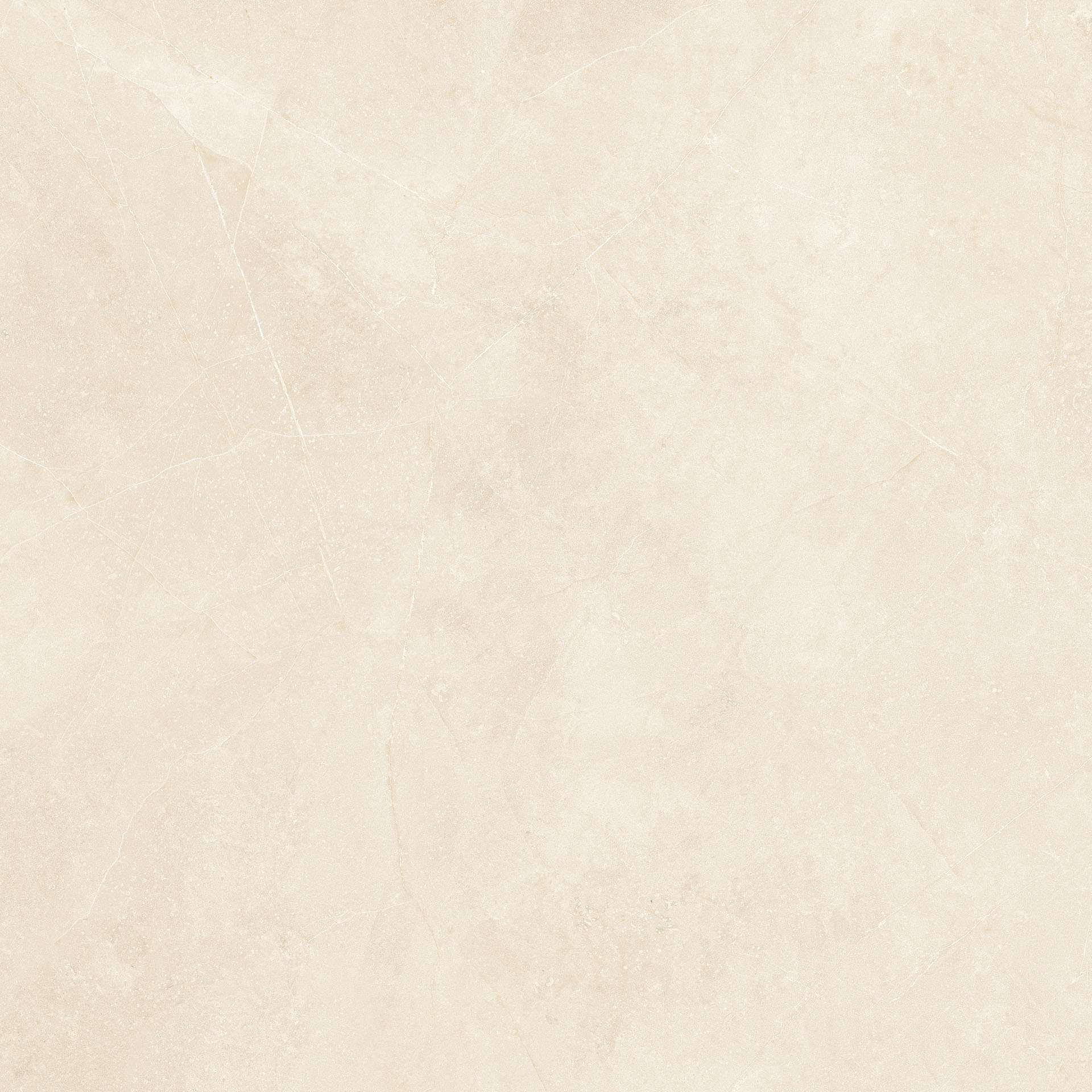 Elegant Beige 60x60 - Image 5