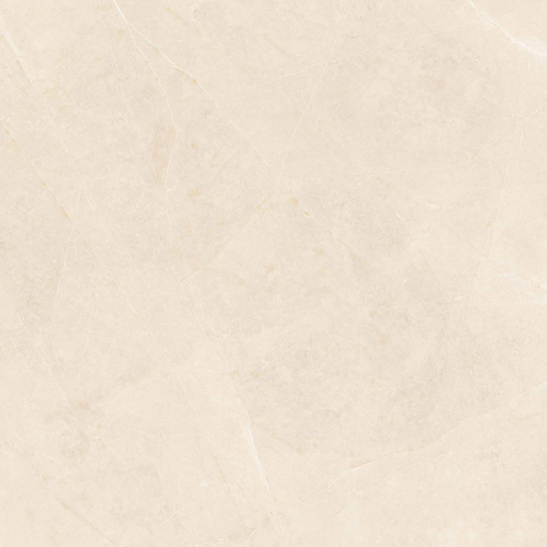 Elegant Beige 60x60 - Image 7