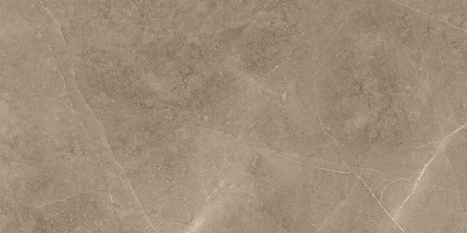 Elegant Taupe 30x60 - Image 2