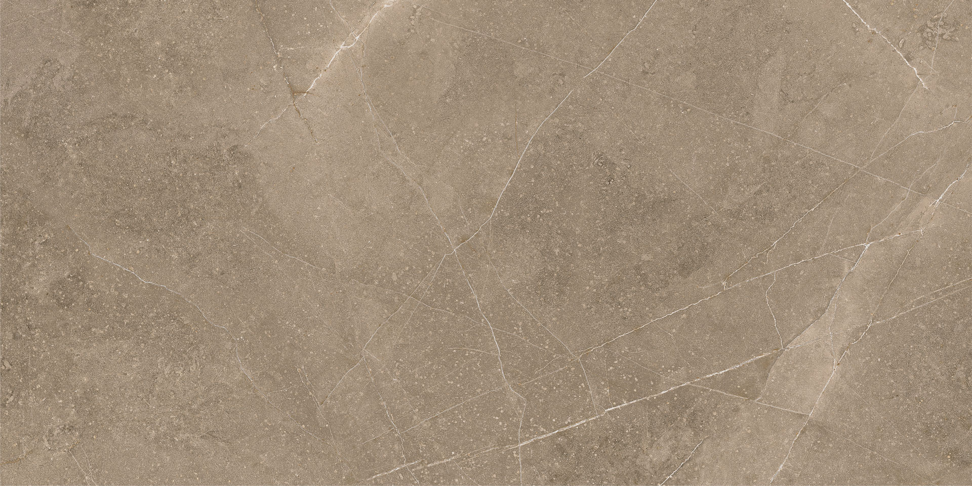 Elegant Taupe 30x60 - Image 3