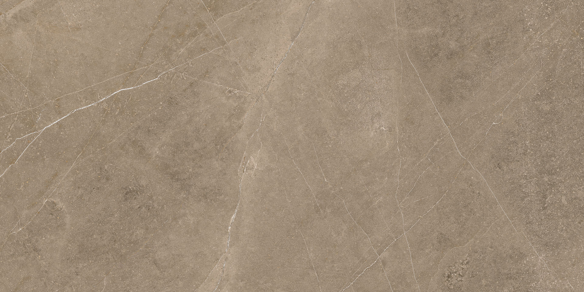 Elegant Taupe 30x60 - Image 5
