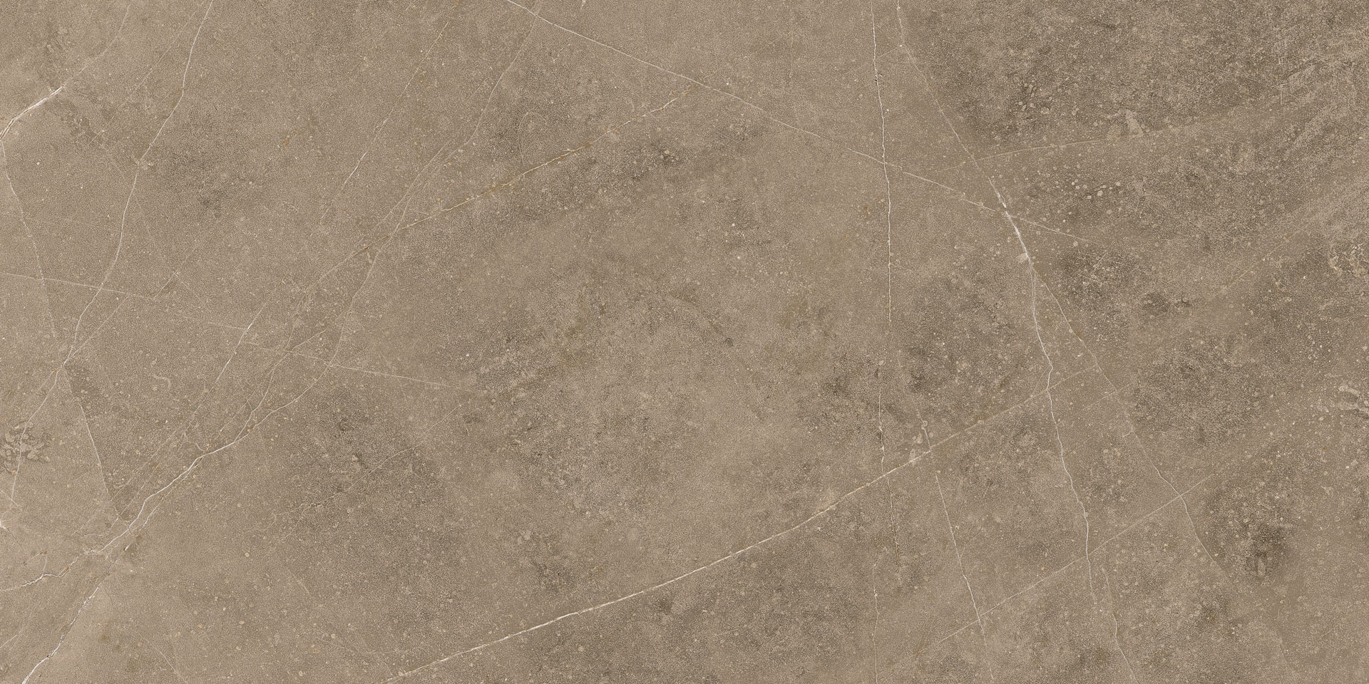 Elegant Taupe 30x60 - Image 6
