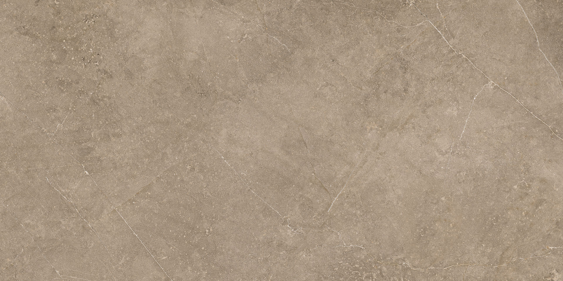 Elegant Taupe 30x60 - Image 7