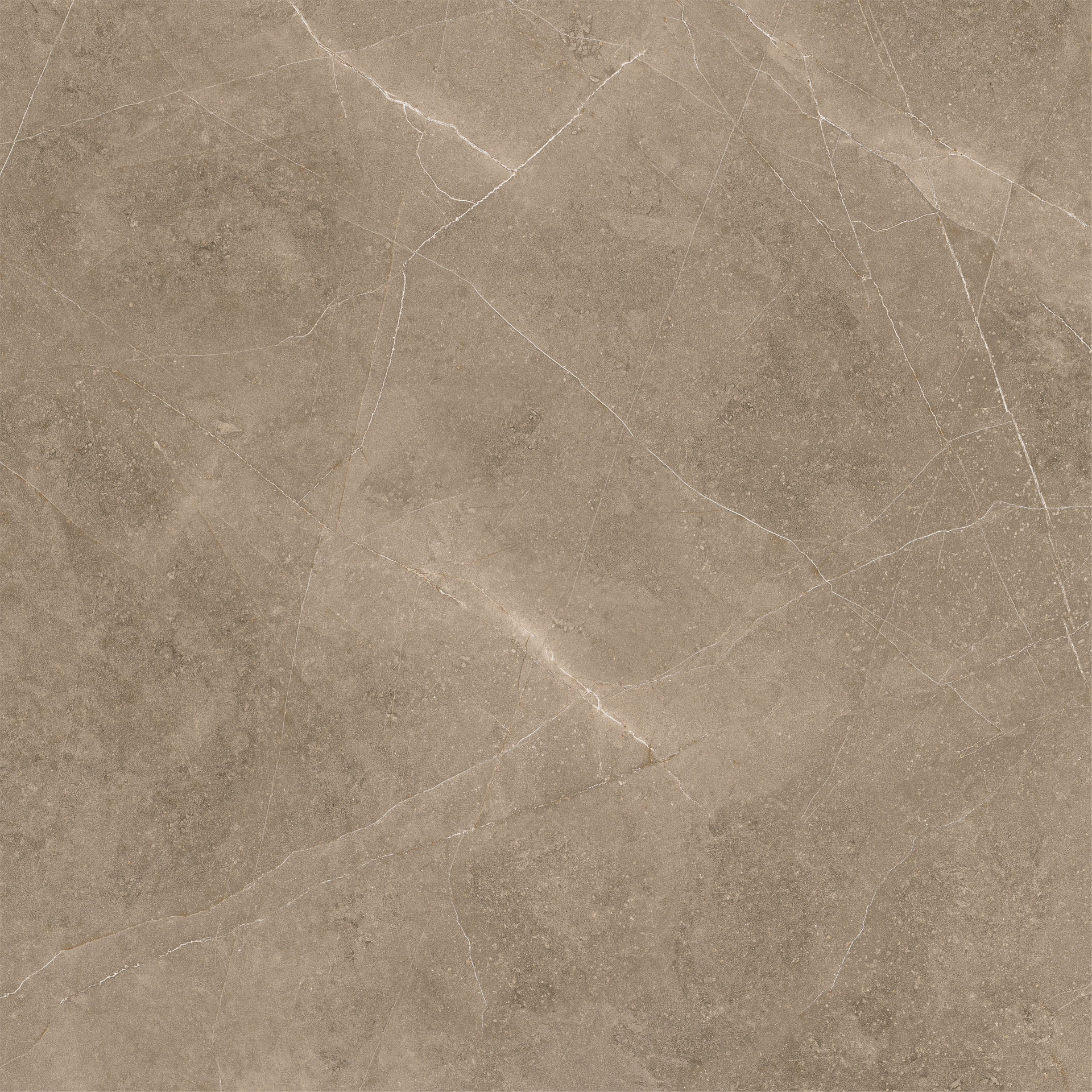 Elegant Taupe 60x60 - Image 2