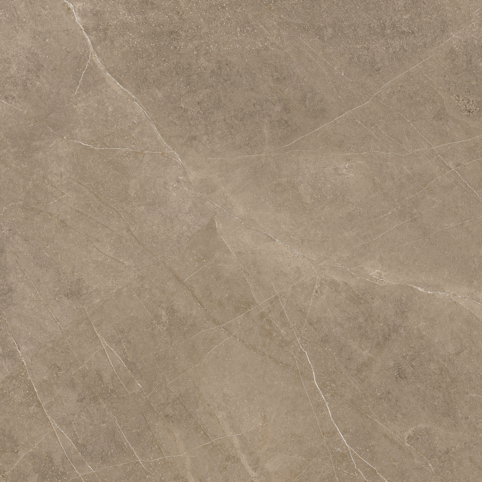 Elegant Taupe 60x60 - Image 3