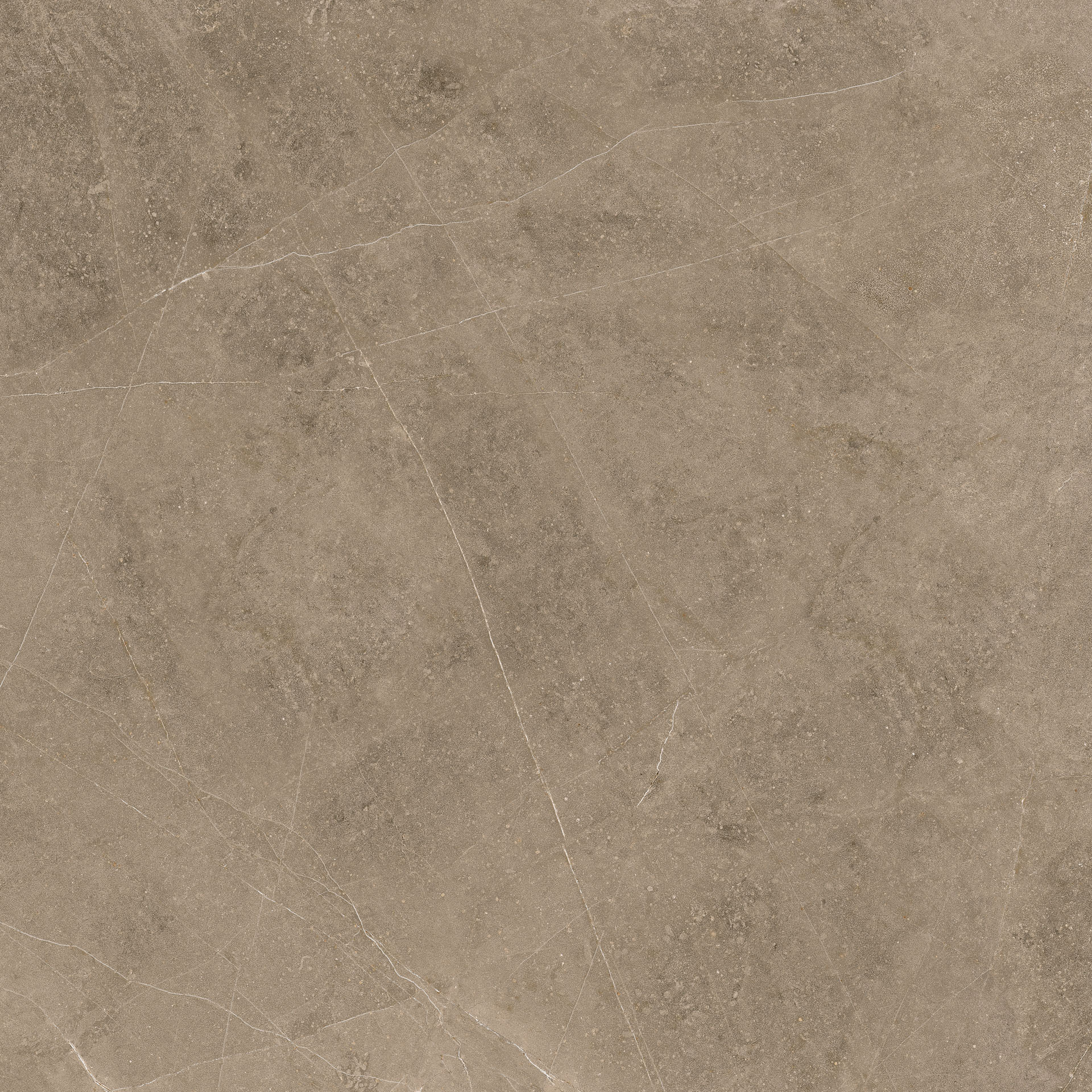 Elegant Taupe 60x60 - Image 4