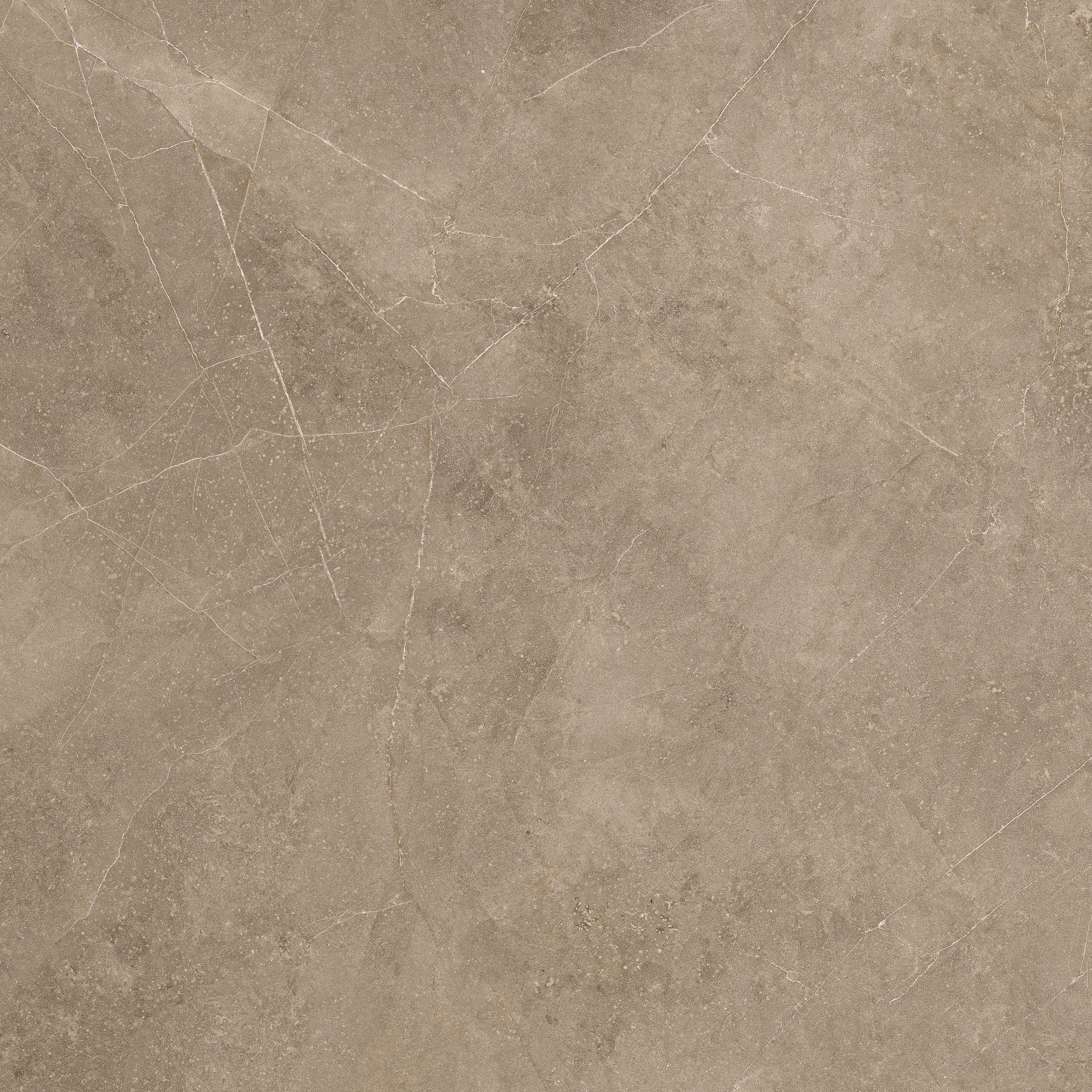 Elegant Taupe 60x60 - Image 5