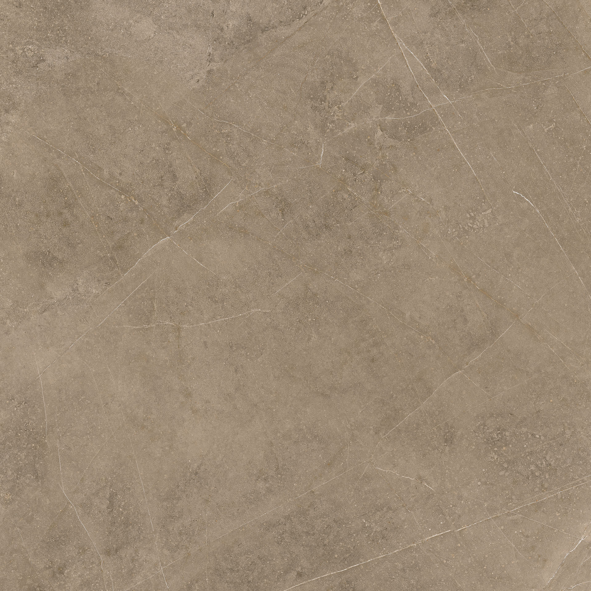 Elegant Taupe 60x60 - Image 6