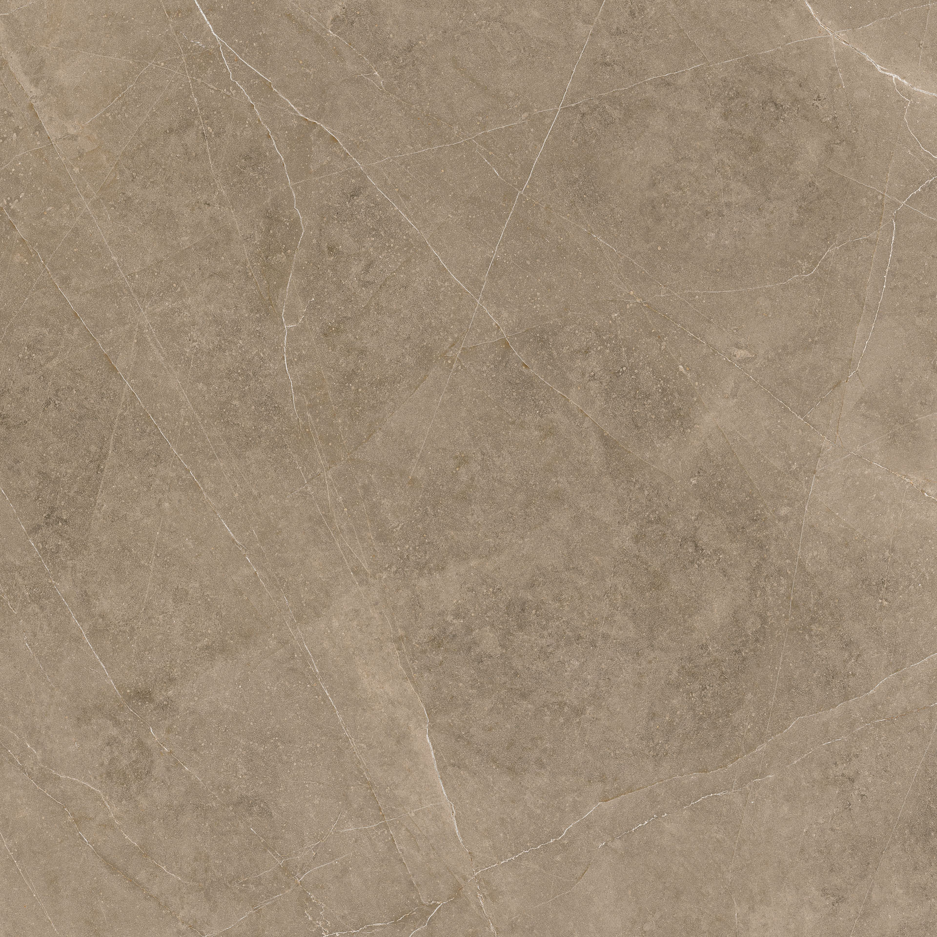 Elegant Taupe 60x60 - Image 7