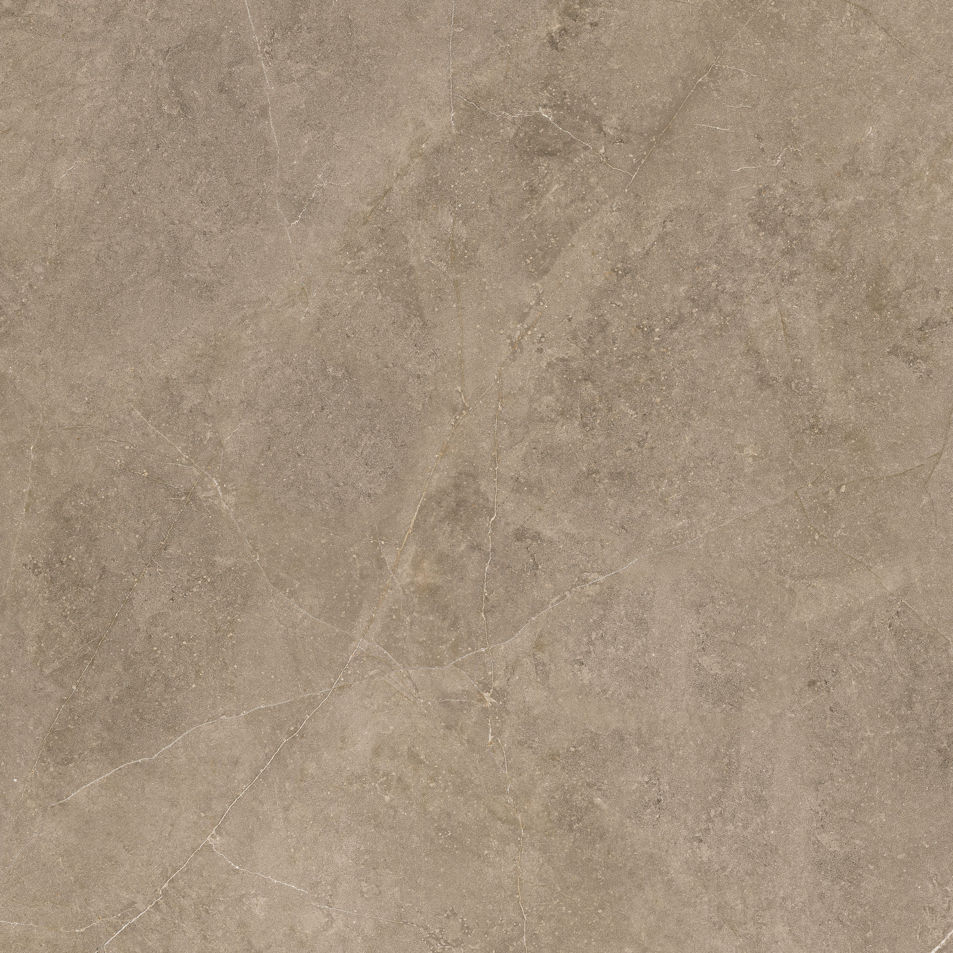 Elegant Taupe 60x60 - Image 8