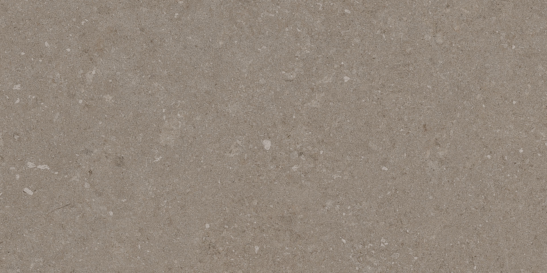 Natural Taupe 30x60 - Image 3