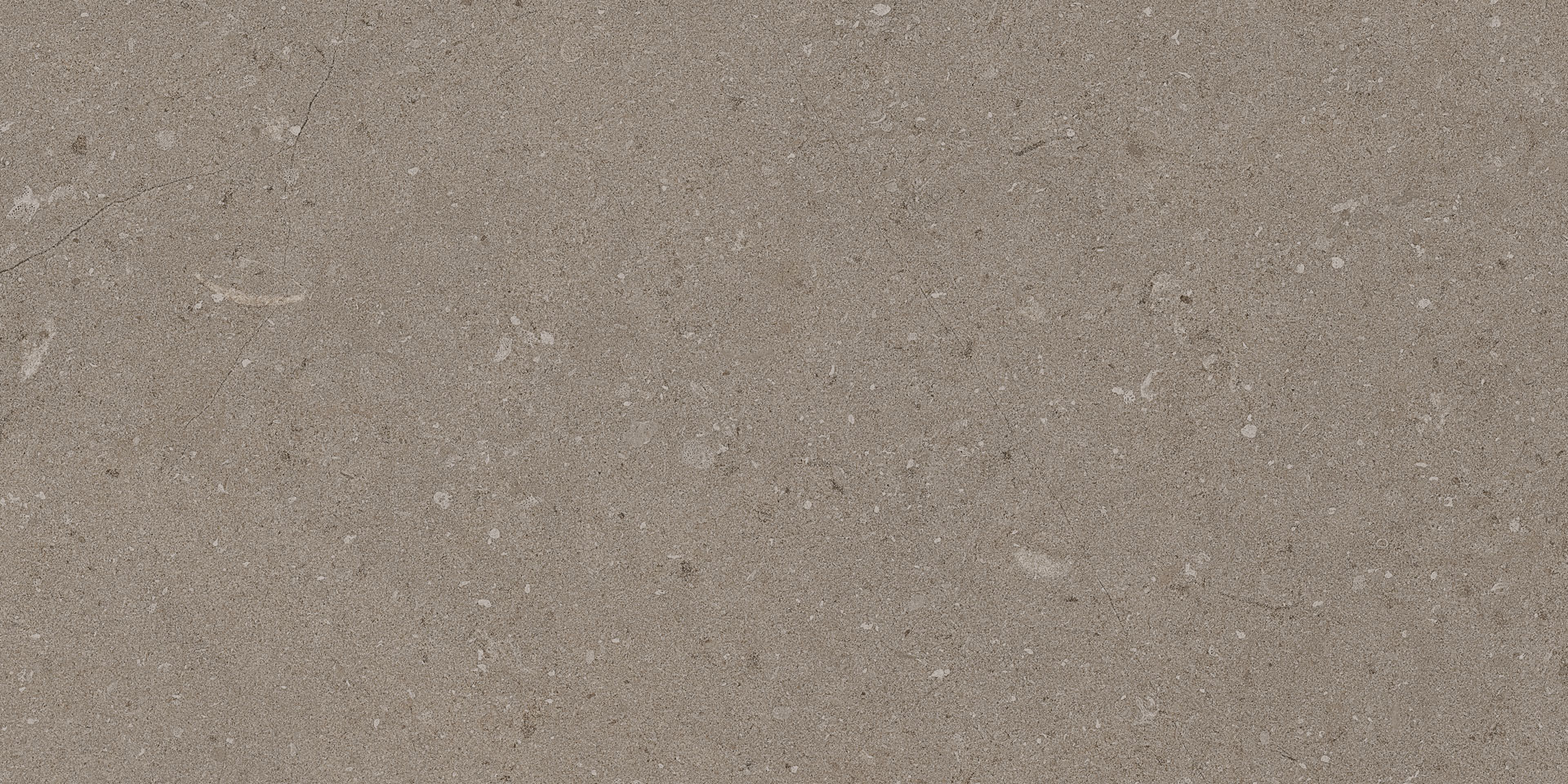 Natural Taupe 30x60 - Image 4