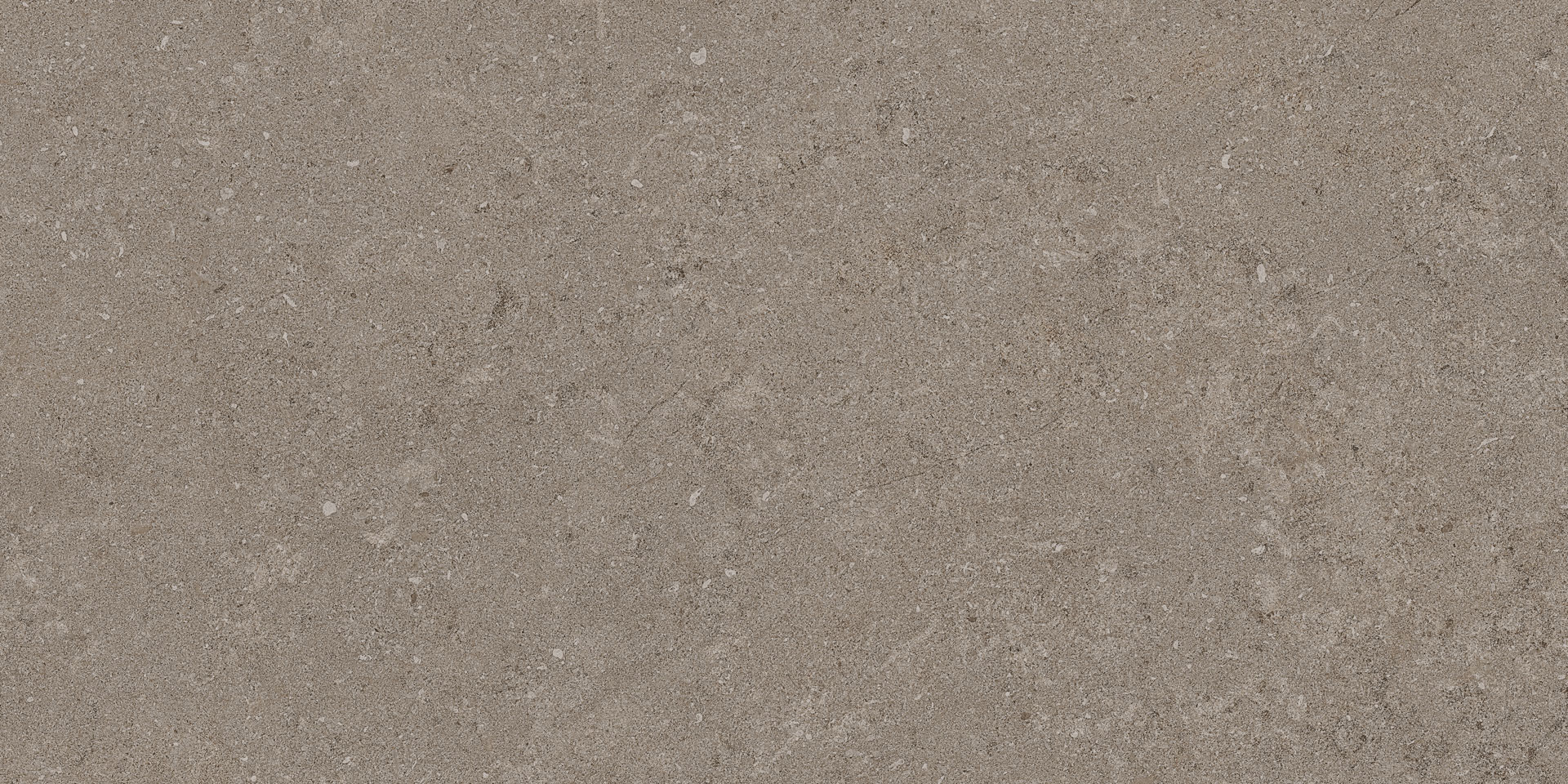 Natural Taupe 30x60 - Image 6