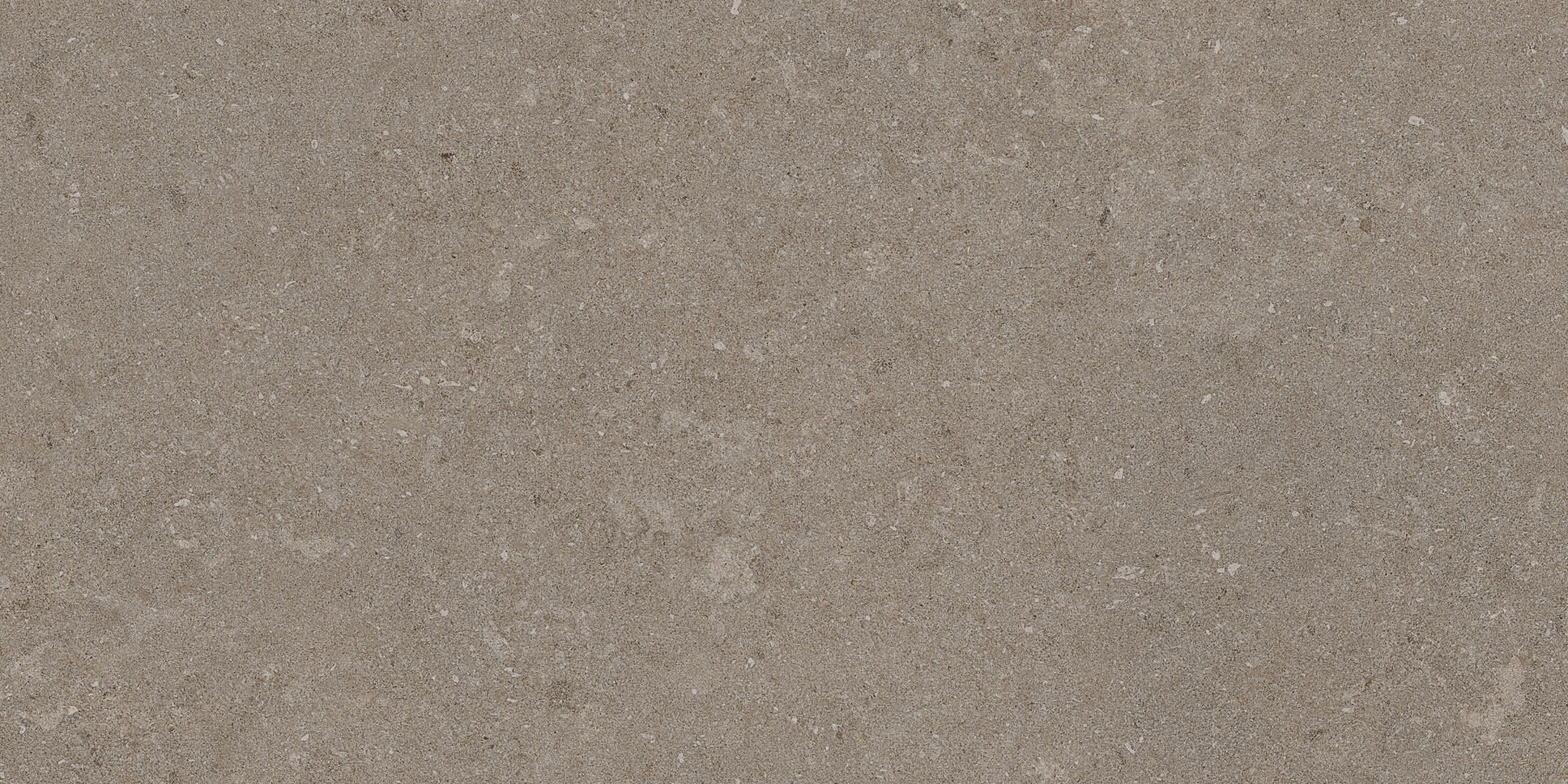 Natural Taupe 30x60 - Image 7