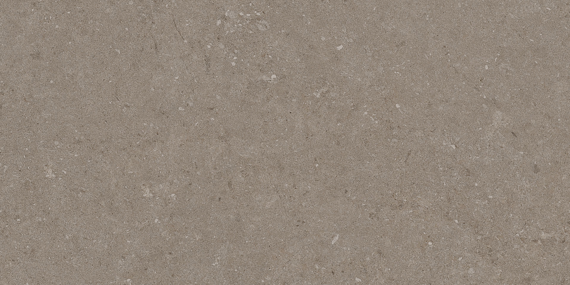 Natural Taupe 30x60 - Image 8