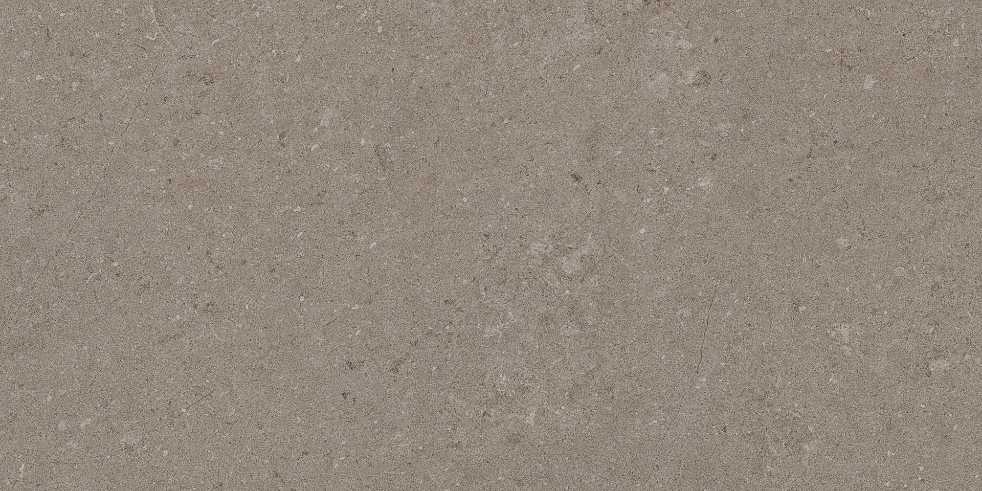 Natural Taupe 30x60 - Image 9
