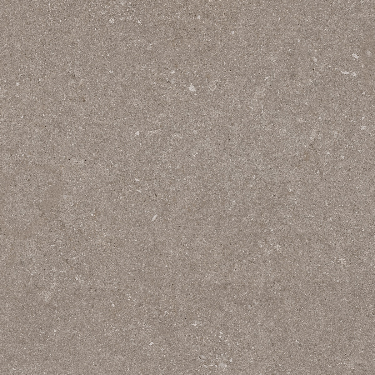 Natural Taupe 60x60 - Image 2