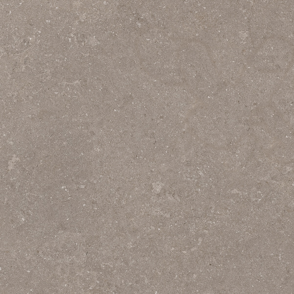 Natural Taupe 60x60 - Image 3