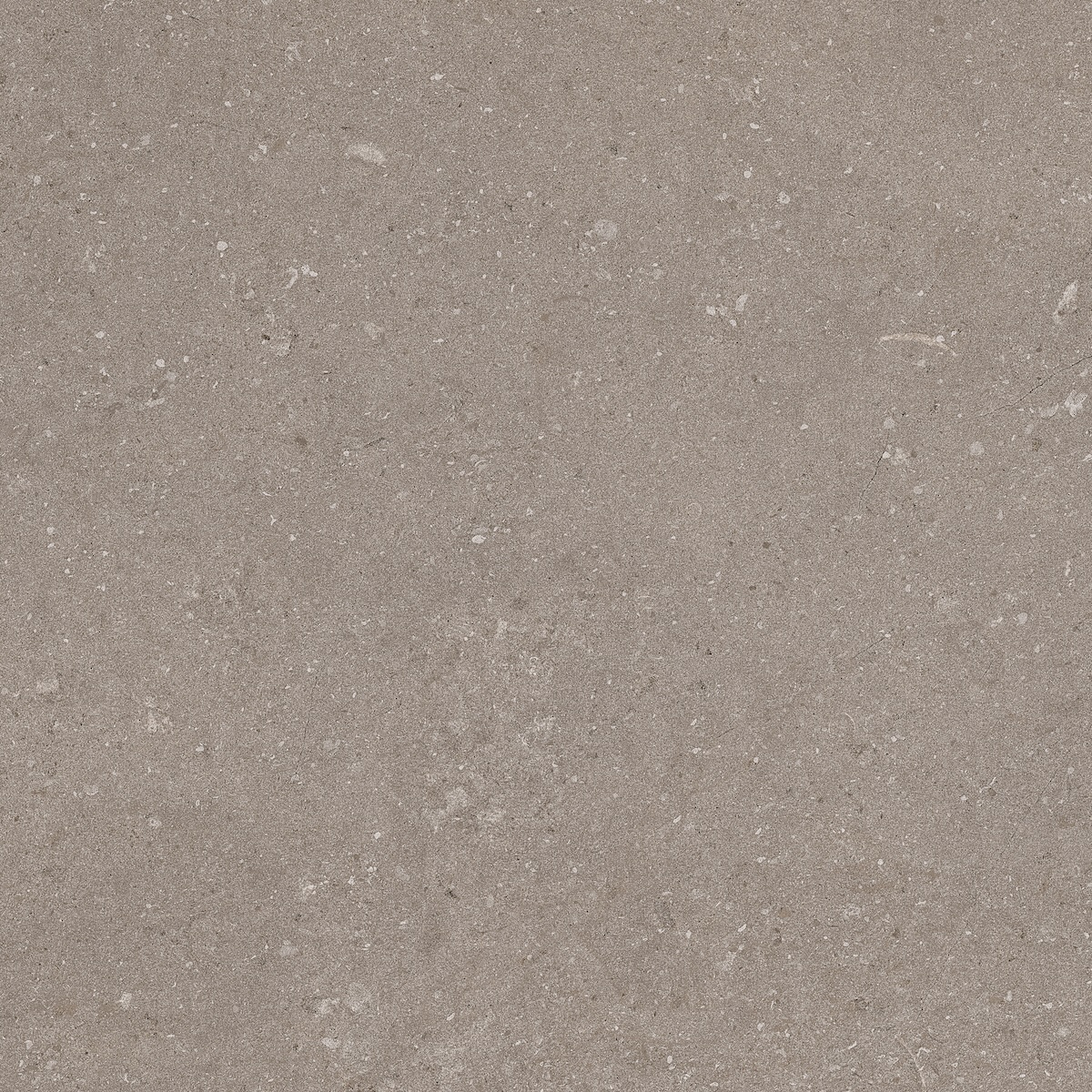 Natural Taupe 60x60 - Image 4