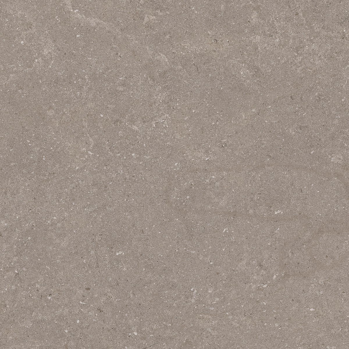 Natural Taupe 60x60 - Image 5