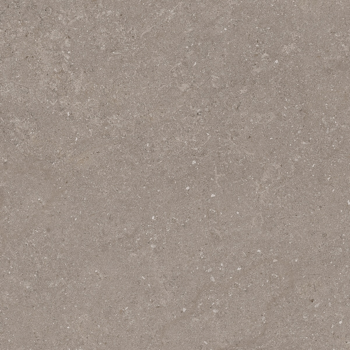 Natural Taupe 60x60 - Image 6