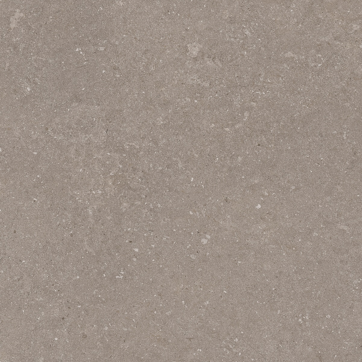 Natural Taupe 60x60 - Image 7